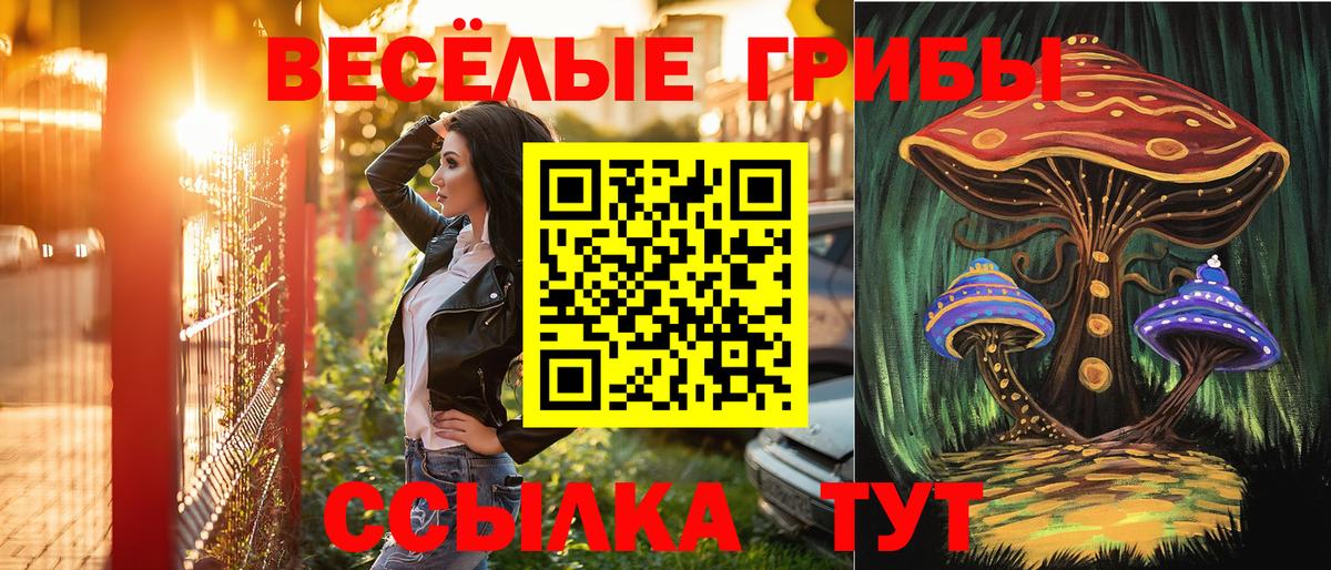 Галлюциногенные грибы Magic Shrooms Берёзовский