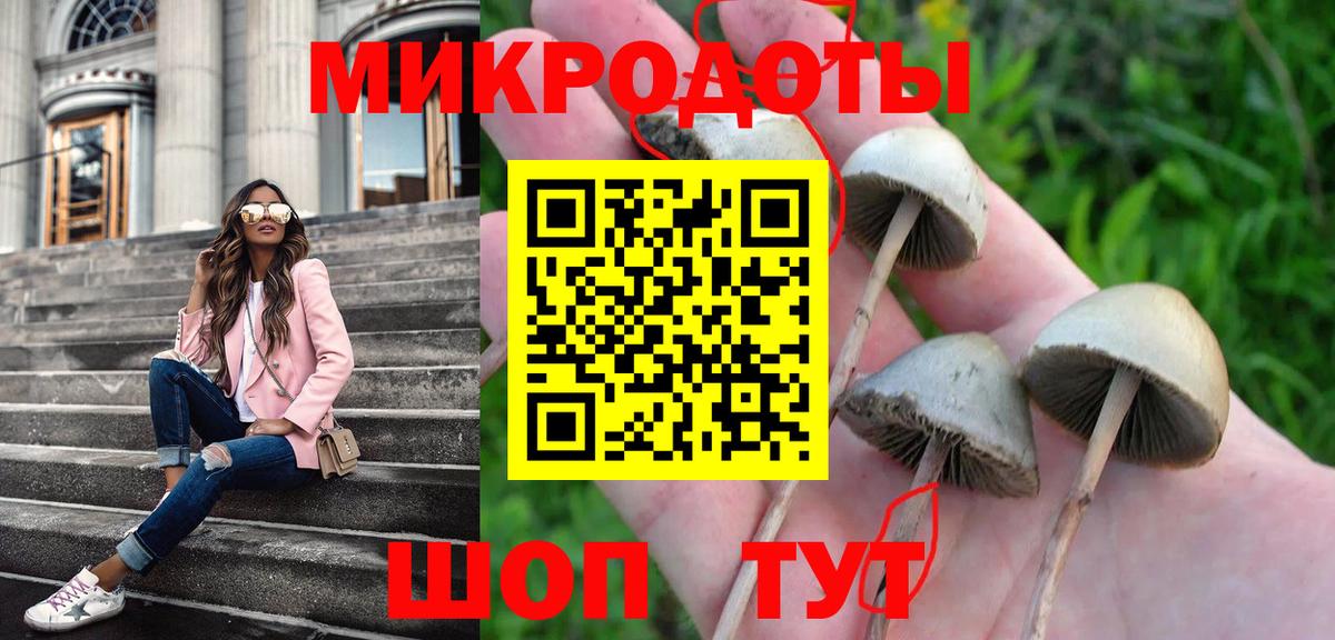 Галлюциногенные грибы мухоморы  сколько стоит  Берёзовский  Вход с VPN  Псилоцибиновые грибы GOLDEN TEACHER 